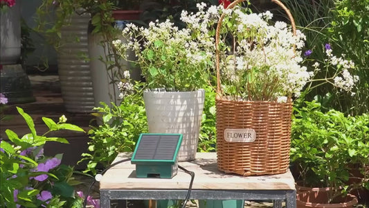 Automatyczny System Nawadniania Solarny – Kroplowy, DIY, do Ogrodu i Balkonu